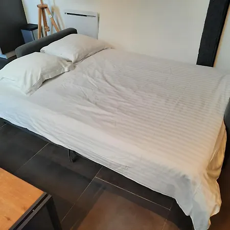 アパート Le Jeannin, Magnifique Duplex 6 Prs - Centre Historique De