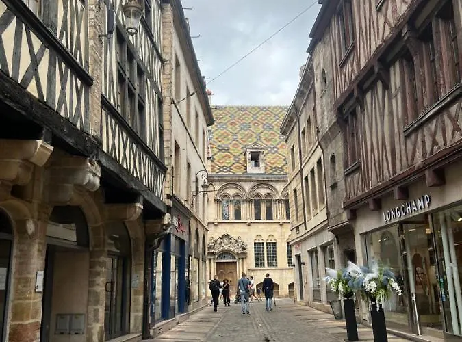 Le Jeannin, Magnifique Duplex 6 Prs - Centre Historique De Digione