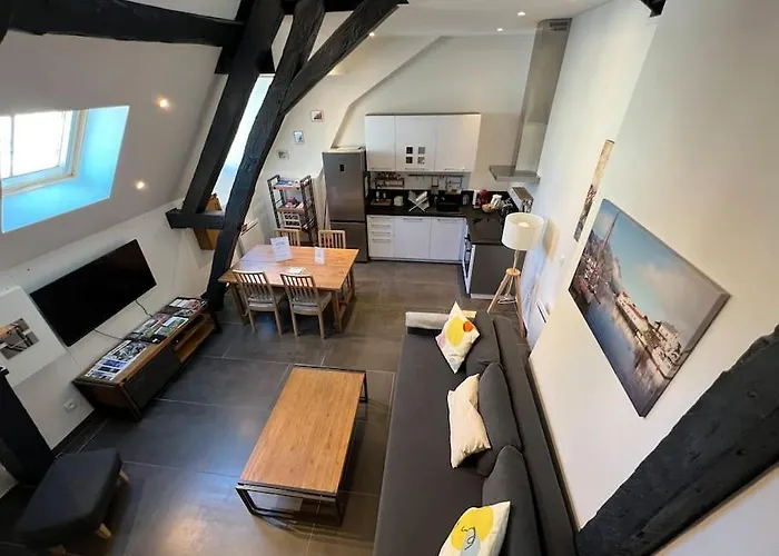 Le Jeannin, Magnifique Duplex 6 Prs - Centre Historique De Digione