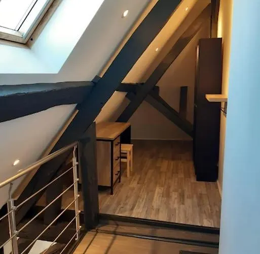 Le Jeannin, Magnifique Duplex 6 Prs - Centre Historique De Appartamento